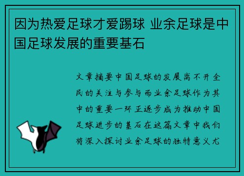 因为热爱足球才爱踢球 业余足球是中国足球发展的重要基石